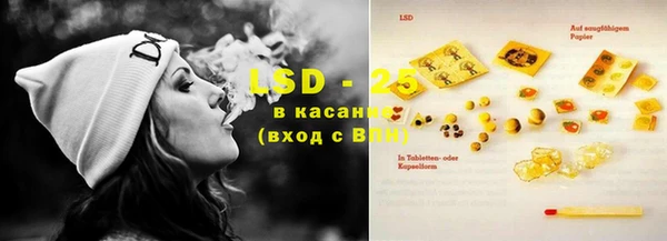 стаф Елизово