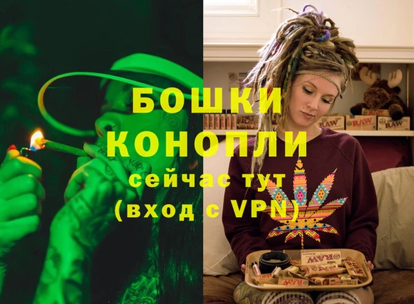 стаф Елизово