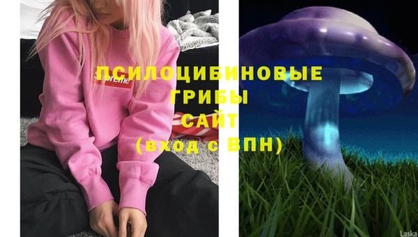 стаф Елизово