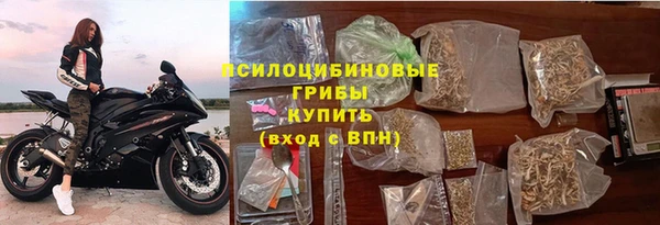 стаф Елизово