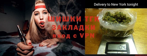 стаф Елизово