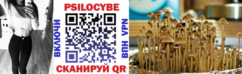 Галлюциногенные грибы Psilocybine cubensis  Купить закладки  Зарайск 